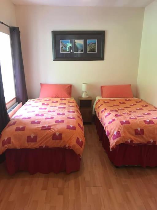 Castlegregory-Seaside 2 Bedroomed Cottage Zewnętrze zdjęcie