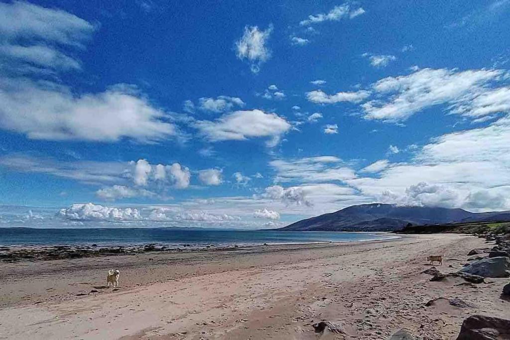 Castlegregory-Seaside 2 Bedroomed Cottage Zewnętrze zdjęcie